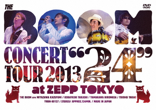 THE BOOM CONCERT TOUR 2013