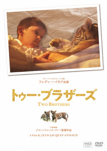 トゥー・ブラザーズ DVD/ガイ・ピアース[DVD]【返品種別A】