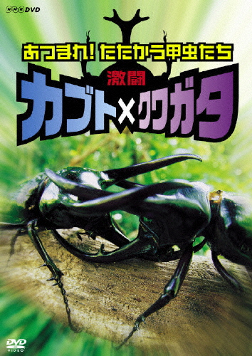 激闘 カブト×クワガタ 〜あつまれ!たたかう甲虫たち〜/趣味[DVD]【返品種別A】