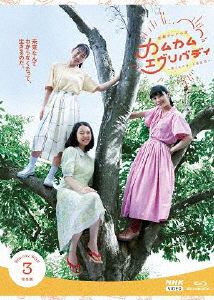 [必読]お買い物前に連続テレビ小説 カムカムエヴリバディ 完全版 ブルーレイBOX3上白石萌音NSBX-25355発売日:2022/08/26出荷目安:２〜５日Blu-ray Discバラエティー(ビ