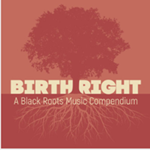 BIRTHRIGHT: A BLACK ROOTS MUSIC COMPENDIUM[2CD]【輸入盤】▼/VARIOUS ARTISTS[CD]【返品種別A】