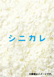 シニカレ完全版 ブルーレイBOX/藤ヶ谷太輔[Blu-ray]【返品種別A】