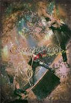 LIVE-ONCE IN A LIFE TIME/Concerto Moon[DVD]【返品種別A】