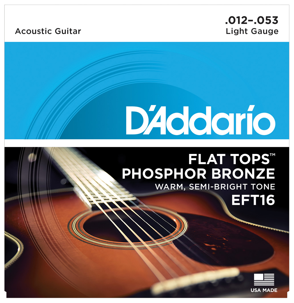 ダダリオ EFT16 アコースティックギター弦（Regular Light.012-.053）D'Addario FLAT TOPS PHOSPHOR BRONZE[EFT16] 返品種別A