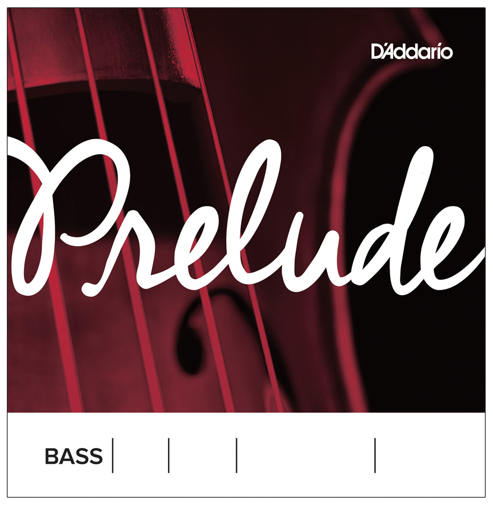 ダダリオ J611 1/8M ウッドベース（コントラバス）用バラ弦D'Addario Prelude Bass Strings[J61118M] 返品種別A