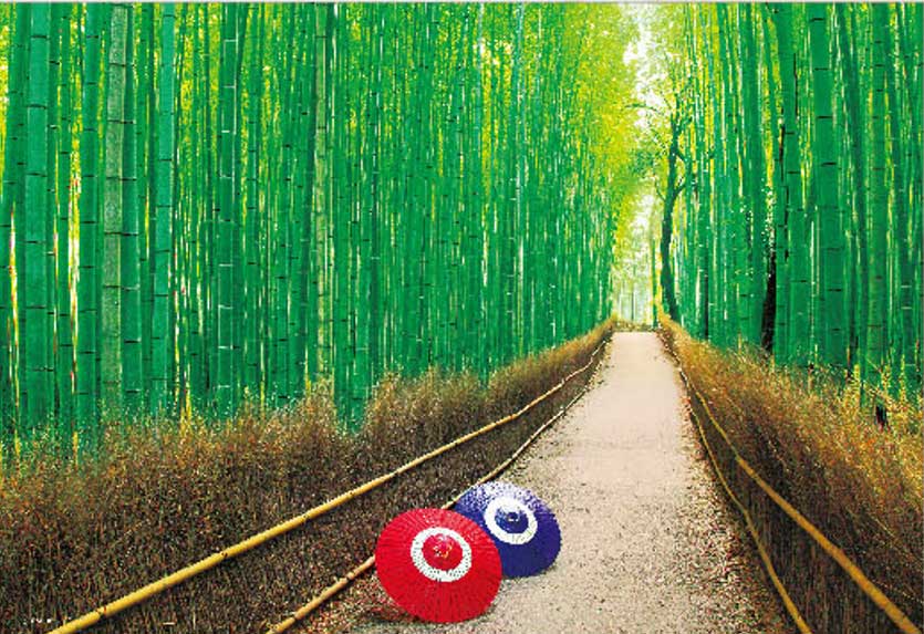 ビバリー 日本の風景 嵯峨野の竹林（京都） 500スモールピース【500S-012】ジグソーパズル 返品種別B