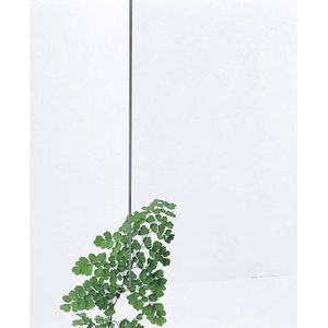 【新品】返品種別B／□「返品種別」について詳しくはこちら□【お買い物ガイド】お買い物前にリンク先をお読み下さい■在庫状況（目安）：入荷次第出荷/7日〜10日で出荷