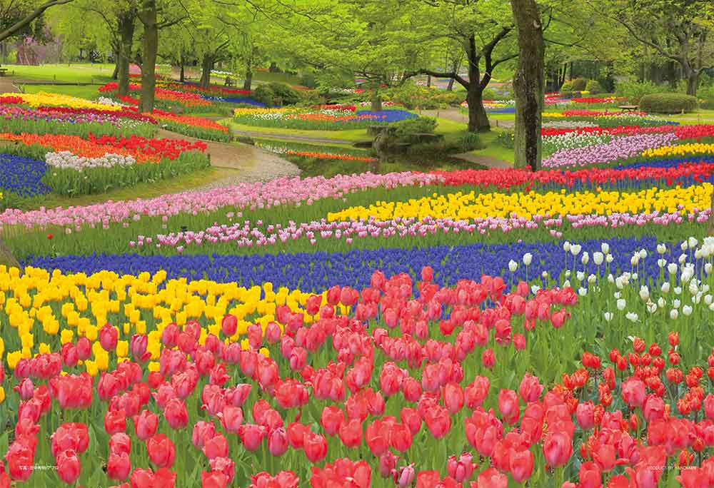 やのまん 日本の風景 花咲く昭和記念公園（東京） 108ピース【01-2090】ジグソーパズル 返品種別B