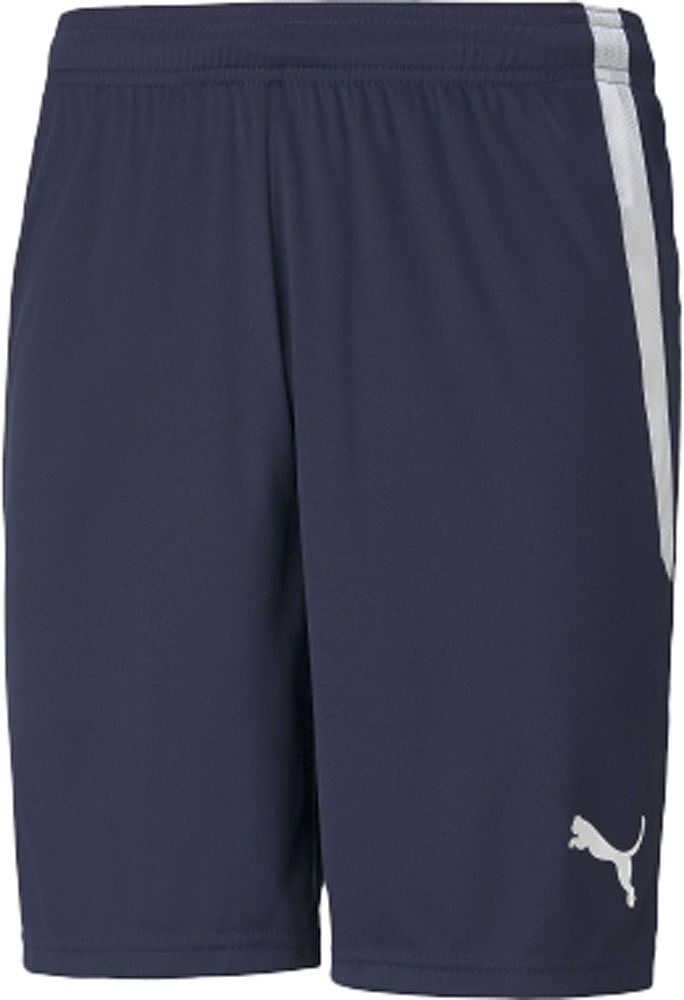プーマ メンズ TEAMLIGA ゲームパンツ（ピーコート・サイズ：XXL） PUMA サッカー・フットサル PAJ-705151-06-XXL返品種別A
