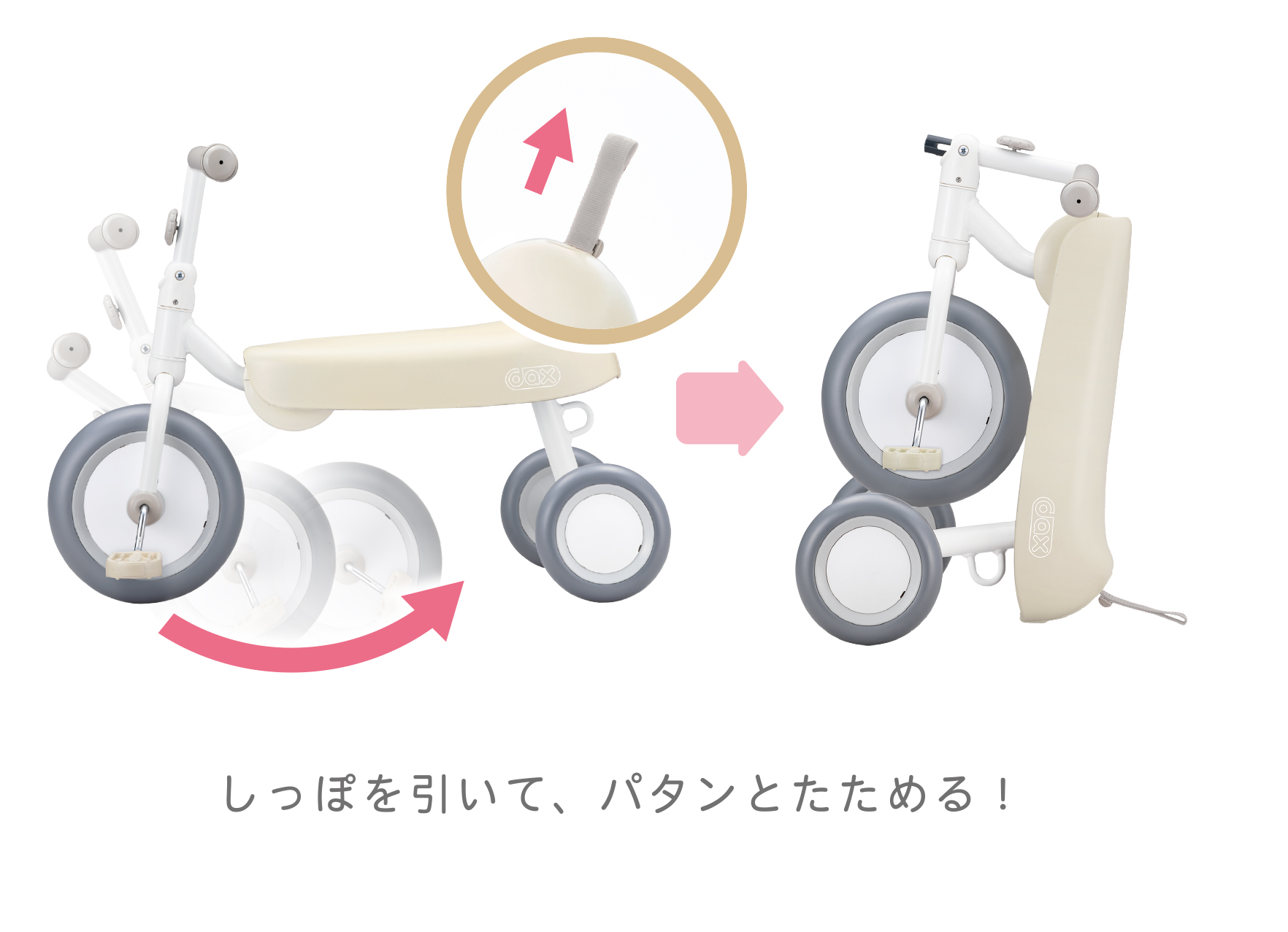 楽天市場】アイデス ディーバイク ダックス ミルクベージュ D